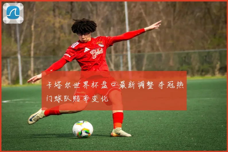 卡塔尔世界杯盘口最新调整 夺冠热门球队赔率变化