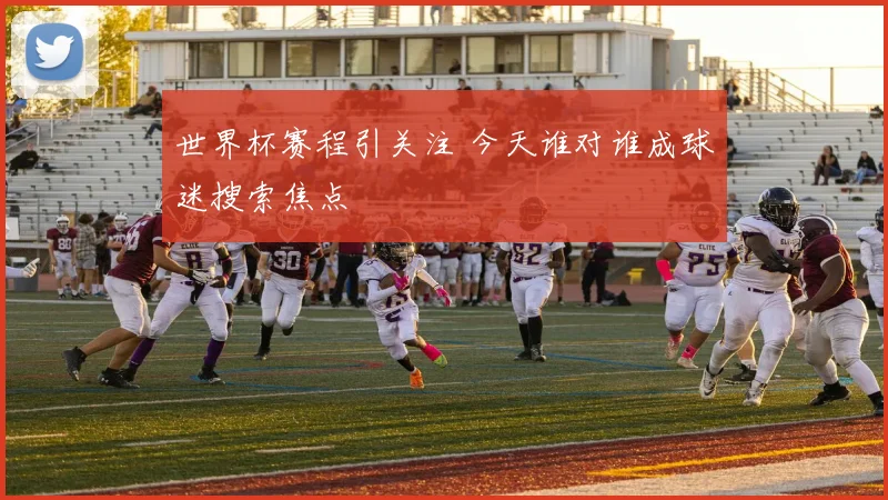 世界杯赛程引关注 今天谁对谁成球迷搜索焦点