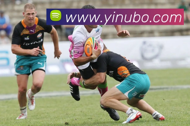 emc易倍官方旗舰店APP 高清赛事图